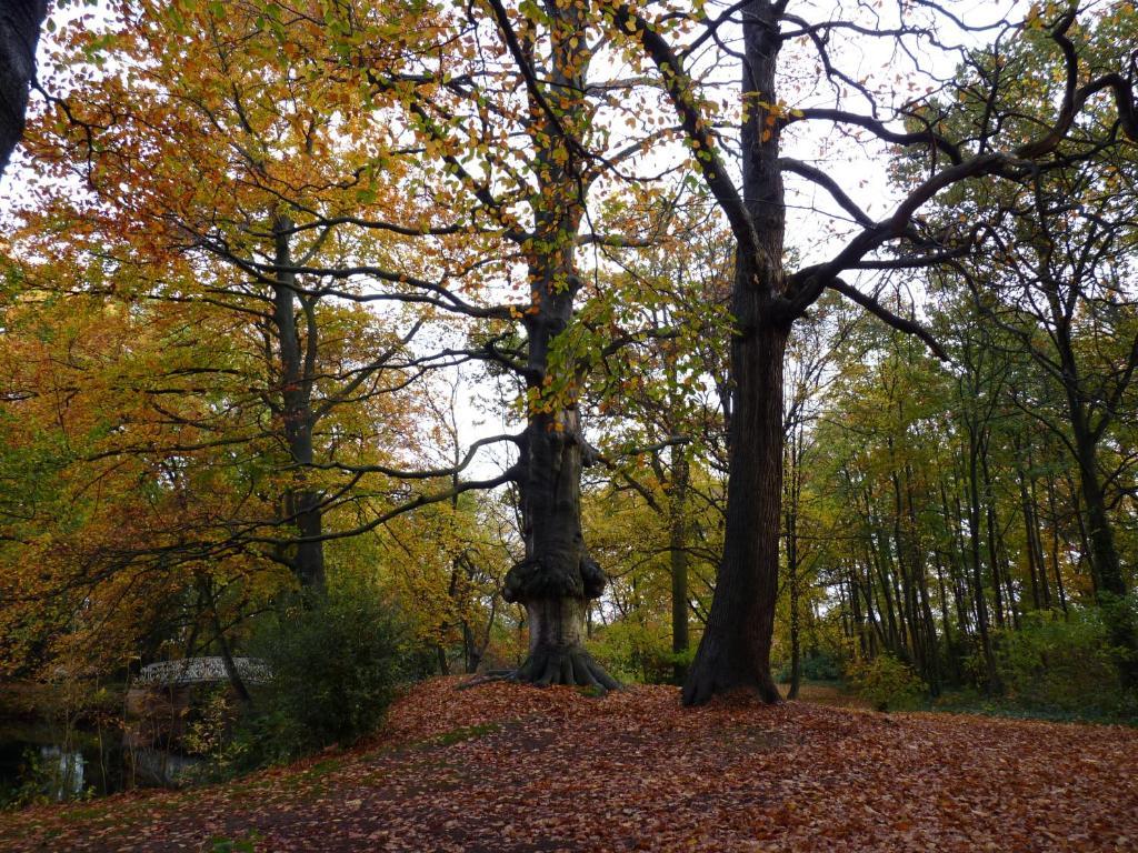 Eremyten Hof Evergem Kültér fotó